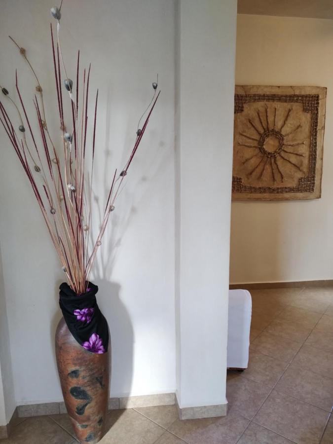 Balanca Studios Puerto Morelos Kültér fotó