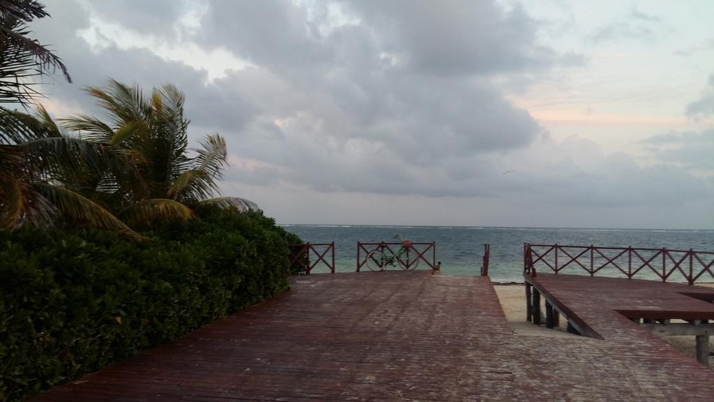 Balanca Studios Puerto Morelos Kültér fotó